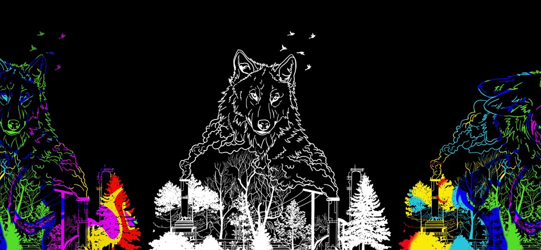Zeigt den Wolf aus "Peter und der Wolf" aus unterschiedlichen Perspektiven, gezeichnet.